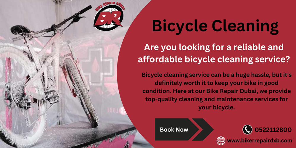 BICYCLE CLEANING